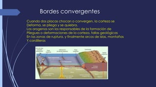 Bordes convergentes 
Cuando dos placas chocan o convergen, la corteza se 
Deforma, se pliega y se quiebra. 
Los orogenos son los responsables de la formación de 
Pliegues o deformaciones de la corteza, fallas geológicas 
En las zonas de ruptura, y finalmente arcos de islas, montañas 
Y cordilleras 
 
