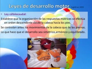 LEYES DE DESARROLLO MOTOR