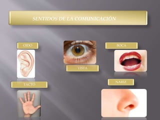 SENTIDOS DE LA COMUNICACIÓN 
NARIZ 
OIDO 
VISTA 
BOCA 
TACTO 
 