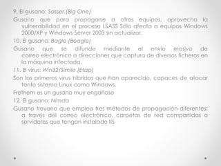 9. El gusano: Sasser (Big One) 
Gusano que para propagarse a otros equipos, aprovecha la 
vulnerabilidad en el proceso LSASS Sólo afecta a equipos Windows 
2000/XP y Windows Server 2003 sin actualizar. 
10. El gusano: Bagle (Beagle) 
Gusano que se difunde mediante el envio masivo de 
correo electrónico a direcciones que captura de diversos ficheros en 
la máquina infectada. 
11. El virus: Win32/Simile (Etap) 
Son los primeros virus híbridos que han aparecido, capaces de atacar 
tanto sistema Linux como Windows. 
Frethem es un gusano muy engañoso 
12. El gusano: Nimda 
Gusano troyano que emplea tres métodos de propagación diferentes: 
a través del correo electrónico, carpetas de red compartidas o 
servidores que tengan instalado IIS 
 
