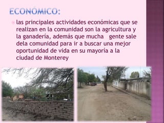  las principales actividades económicas que se 
realizan en la comunidad son la agricultura y 
la ganadería, además que mucha gente sale 
dela comunidad para ir a buscar una mejor 
oportunidad de vida en su mayoría a la 
ciudad de Monterey 
 