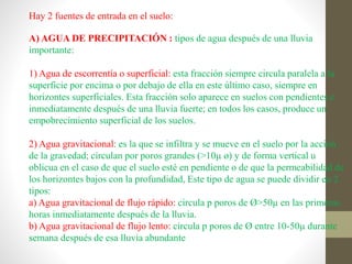 Hay 2 fuentes de entrada en el suelo:
A) AGUA DE PRECIPITACIÓN : tipos de agua después de una lluvia
importante:
1) Agua de escorrentía o superficial: esta fracción siempre circula paralela a la
superficie por encima o por debajo de ella en este último caso, siempre en
horizontes superficiales. Esta fracción solo aparece en suelos con pendientes e
inmediatamente después de una lluvia fuerte; en todos los casos, produce un
empobrecimiento superficial de los suelos.
2) Agua gravitacional: es la que se infiltra y se mueve en el suelo por la acción
de la gravedad; circulan por poros grandes (>10µ ø) y de forma vertical u
oblicua en el caso de que el suelo esté en pendiente o de que la permeabilidad de
los horizontes bajos con la profundidad, Este tipo de agua se puede dividir en 2
tipos:
a) Agua gravitacional de flujo rápido: circula p poros de Ø>50µ en las primeras
horas inmediatamente después de la lluvia.
b) Agua gravitacional de flujo lento: circula p poros de Ø entre 10-50µ durante
semana después de esa lluvia abundante
 