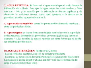 3) AGUA RETENIDA: Se llama así al agua retenida por el suelo durante la
infiltración de la lluvia. Este tipo de agua ocupa los poros medios y finos
que son < 10µ y es retenida por la existencia de fuerzas capilares y de
absorción lo suficiente fuertes como para oponerse a la fuerza de la
gravedad; este tipo se puede dividir en 2:
a) Agua capilar absorbible: ocupa los poros medios formando meniscos
entre las partículas sólidas.
b) Agua delgada: es la que forma una delgada partícula sobre la superficie
de las partículas ocupando los poros finos que son aquellos que tienen un
diámetro < 0.2µ; este tipo de agua es retenida con tanta fuerza que no puede
ser absorbida por las raíces.
B) AGUA SUBTERRÁNEA: Puede ser de 2 tipos:
-La que forma los acuíferos, que son de carácter permanente
-Las masas de agua sostenidas temporalmente(solo en algunas estaciones)
La planta solo puede absorber el agua capilar y una fracción pequeña del
agua gravitacional de flujo lento.
 