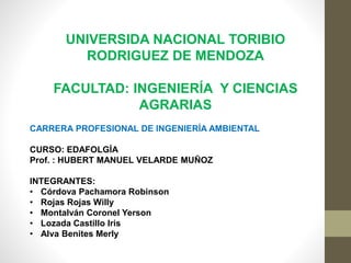 UNIVERSIDA NACIONAL TORIBIO
RODRIGUEZ DE MENDOZA
FACULTAD: INGENIERÍA Y CIENCIAS
AGRARIAS
CARRERA PROFESIONAL DE INGENIERÍA AMBIENTAL
CURSO: EDAFOLGÍA
Prof. : HUBERT MANUEL VELARDE MUÑOZ
INTEGRANTES:
• Córdova Pachamora Robinson
• Rojas Rojas Willy
• Montalván Coronel Yerson
• Lozada Castillo Iris
• Alva Benites Merly
 