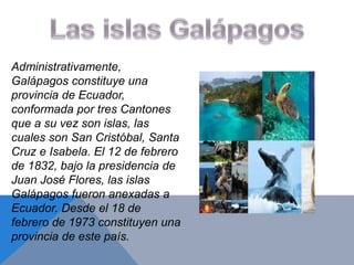 Administrativamente,
Galápagos constituye una
provincia de Ecuador,
conformada por tres Cantones
que a su vez son islas, las
cuales son San Cristóbal, Santa
Cruz e Isabela. El 12 de febrero
de 1832, bajo la presidencia de
Juan José Flores, las islas
Galápagos fueron anexadas a
Ecuador. Desde el 18 de
febrero de 1973 constituyen una
provincia de este país.
 