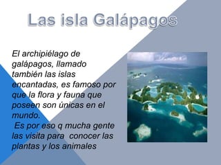 El archipiélago de
galápagos, llamado
también las islas
encantadas, es famoso por
que la flora y fauna que
poseen son únicas en el
mundo.
Es por eso q mucha gente
las visita para conocer las
plantas y los animales
 