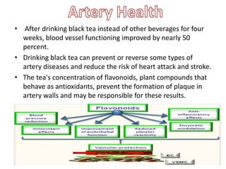 ? After drinking black tea instead of other beverages for four
weeks, blood vessel functioning improved by nearly 50
percent.
? Drinking black tea can prevent or reverse some types of
artery diseases and reduce the risk of heart attack and stroke.
? The tea's concentration of flavonoids, plant compounds that
behave as antioxidants, prevent the formation of plaque in
artery walls and may be responsible for these results.
 