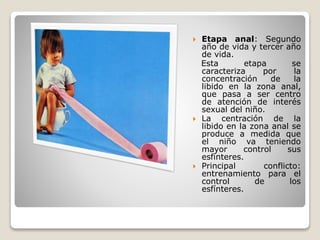  Etapa anal: Segundo
año de vida y tercer año
de vida.
Esta etapa se
caracteriza por la
concentración de la
libido en la zona anal,
que pasa a ser centro
de atención de interés
sexual del niño.
 La centración de la
libido en la zona anal se
produce a medida que
el niño va teniendo
mayor control sus
esfínteres.
 Principal conflicto:
entrenamiento para el
control de los
esfínteres.
 