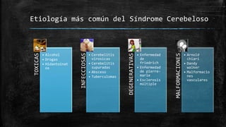 Etiología más común del Síndrome Cerebeloso
TOXICAS
• Alcohol
• Drogas
• Hidantoinat
os
INFECCIOSAS
• Cerebelitis
virosicas
• Cerebelitis
supuradas
• Absceso
• Tuberculomas
DEGENERATIVAS
• Enfermedad
de
friedrich
• Enfermedad
de pierre-
marie
• Esclerosis
múltiple
MALFORMACIONES
• Arnold
chiari
• Dandy
walker
• Malformacio
nes
vasculares
 
