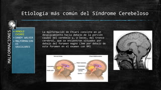 MALFORMACIONES
• ARNOLD
CHIARI
• DANDY WALKER
• MALFORMACION
ES
VASCULARES
Etiología más común del Síndrome Cerebeloso
La malformación de Chiari consiste en un
desplazamiento hacia debajo de la porción
caudal del cerebelo y, a veces, del tronco
cerebral, que se encuentran situados por
debajo del foramen magno (3mm por debajo de
este foramen en el examen con RM)
 