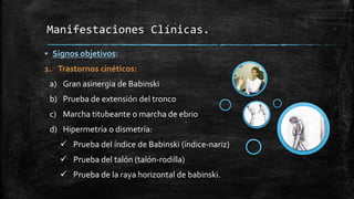 ▪ Signos objetivos:
1. Trastornos cinéticos:
a) Gran asinergia de Babinski
b) Prueba de extensión del tronco
c) Marcha titubeante o marcha de ebrio
d) Hipermetría o dismetría:
 Prueba del índice de Babinski (índice-nariz)
 Prueba del talón (talón-rodilla)
 Prueba de la raya horizontal de babinski.
Manifestaciones Clínicas.
 
