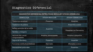 Diagnostico Diferencial
DIAGNOSTICO DIFERENCIAL ENTRE ATAXIA MEDULARY ATAXIA CEREBELOSA
SEMIOLOGÍA ATAXIA MEDULAR ATAXIA CEREBELOSA
Trastornos sensitivos Presentes Ausentes
Trastornos de palabra
Ausentes
Presentes a veces
Reflejo pendular de la rodilla
Presentes con frecuencia
Temblor y nistagmo
Sectores del cuerpo
comprometidos
Amplios, extremidades Amplios o pequeños
Signos de Romberg Presentes Ausentes
Funciones vestibulocerebelosas Normales Afectados a veces
Desviaciones posturales Ausentes Presentes
 