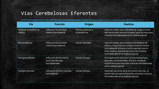 Vías Cerebelosas Eferentes
Vía Función Origen Destino
Globoso-emboliforme-
rúbrica
Influye en la actividad
motora homolateral
Núcleos globoso y
emboliforme
Hacia el núcleo rojo contralateral, luego a través
del tracto rubro espinal cruzado hacia las neuronas
motoras homolaterales en la médula espinal
Dentotalámica Influye en la actividad
motora homolateral
Núcleo dentado Hacia el núcleo ventrolateral contralateral de
tálamo, luego hacia la corteza cerebral motora
contralateral; el tracto cortico espinal cruza la
línea media y controla las neuronas motoras
homolaterales en la médula espinal
Fastigiovestibular Influye en el tono de los
músculos flexores
homolaterales
Núcleo fastigio Principalmente hacia los núcleos vestibulares
laterales contralaterales; el tracto vestíbulo
espinal hacia las neuronas motoras homolaterales
en la médula espinal
Fastigiorreticular Influye en el tono muscular
homolateral
Núcleo fastigio Hacia las neuronas de la formación reticular; el
tracto retículo espinal hacia las neuronas motoras
homolaterales en la médula espinal
 