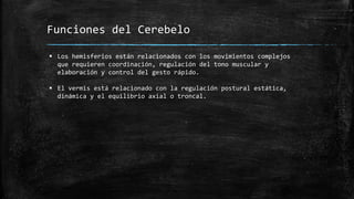  Los hemisferios están relacionados con los movimientos complejos
que requieren coordinación, regulación del tono muscular y
elaboración y control del gesto rápido.
 El vermis está relacionado con la regulación postural estática,
dinámica y el equilibrio axial o troncal.
Funciones del Cerebelo
 