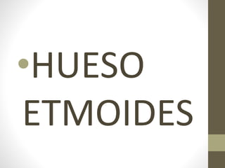 •HUESO
ETMOIDES
 