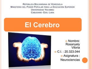 REPÚBLICA BOLIVARIANA DE VENEZUELA
MINISTERIO DEL PODER POPULAR PARA LA EDUCACIÓN SUPERIOR
UNIVERSIDAD YACAMBU
CABUDARE- EDO. LARA
 Nombre:
Rosanyely
Viloria
 C.I. : 20.323.044
 Asignatura :
Neurociencias
El Cerebro
 