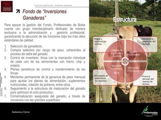 Sabemos Cómo
Fondo de Capital Privado – Inversiones Ganaderas
Fondo de “Inversiones
Ganaderas”
Para apoyar la gestión del Fondo, Profesionales de Bolsa
cuenta con grupo interdisciplinario dedicado de manera
exclusiva a la administración y gestoría profesional,
garantizando la ejecución de las funciones bajo los más altos
estándares de calidad.
1. Selección de ganaderos.
2. Compra selectiva por rango de peso, coherentes al
proceso de ceba del ganado.
3. Control de inventario: Inicia con la marcación individual
de cada uno de los semovientes con hierro, chip y
orejera.
4. Planes periódicos de control y mantenimiento de las
fincas.
5. Monitoreo permanente de la ganancia de peso mensual
para ajustar los planes de alimentación, suplementos
nutricionales, rotación de potreros, entre otros.
6. Seguimiento a la estructura de maduración del ganado
para optimizar el ciclo productivo.
7. Comercialización asegurada del ganado, a través de
convenios con las grandes superficies.
•Toma la
decisión del
manejo de
Activos
•Encargada de
administrar
los recursos
•Gestiona la
operación del
Ganado.
•Vigila y
controla los
activos.
Comité de
Vigilancia y
Control
Gestor
Profesional
Comité de
Inversiones
Sociedad
Administra
dora
 