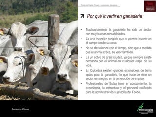 Sabemos Cómo
Fondo de Capital Privado – Inversiones Ganaderas
Por qué invertir en ganadería
• Tradicionalmente la ganadería ha sido un sector
con muy buenas rentabilidades.
• Es una inversión tangible que le permite invertir en
el campo desde su casa.
• No se desvaloriza con el tiempo, sino que a medida
que el animal crece, su valor también.
• Es un activo de gran liquidez, ya que siempre existe
demanda por el animal en cualquier etapa de su
vida.
• En Colombia existen grandes extensiones de tierra
aptas para la ganadería, lo que hace de éste un
sector estratégico en la generación de empleo.
• Profesionales de Bolsa tiene el conocimiento, la
experiencia, la estructura y el personal calificado
para la administración y gestoría del Fondo.
 