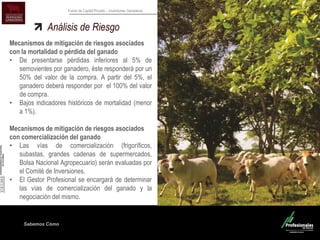 Sabemos Cómo
Fondo de Capital Privado – Inversiones Ganaderas
Análisis de Riesgo
Mecanismos de mitigación de riesgos asociados
con la mortalidad o pérdida del ganado
• De presentarse pérdidas inferiores al 5% de
semovientes por ganadero, éste responderá por un
50% del valor de la compra. A partir del 5%, el
ganadero deberá responder por el 100% del valor
de compra.
• Bajos indicadores históricos de mortalidad (menor
a 1%).
Mecanismos de mitigación de riesgos asociados
con comercialización del ganado
• Las vías de comercialización (frigoríficos,
subastas, grandes cadenas de supermercados,
Bolsa Nacional Agropecuario) serán evaluadas por
el Comité de Inversiones.
• El Gestor Profesional se encargará de determinar
las vías de comercialización del ganado y la
negociación del mismo.
 