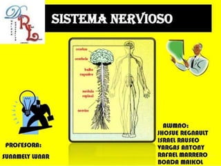 sistema nervioso 