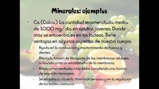 Los nutrientes: La vitamina D