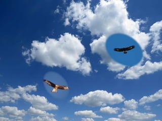 imagenes powert point con mov