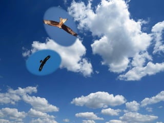 imagenes powert point con mov