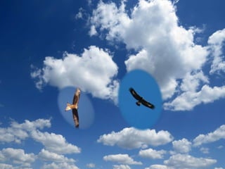 imagenes powert point con mov