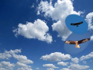 imagenes powert point con mov