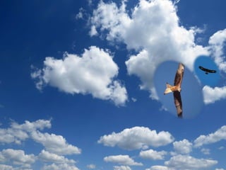 imagenes powert point con mov