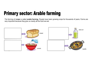 The farming of crops is called arable farming. People have been growing crops for thousands of years. Farms are
very important because they give us nearly all the food we eat.
bread
cereals
olive oil
paella
 