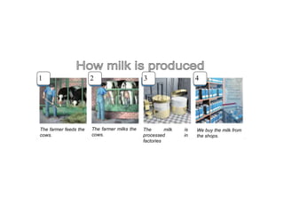1 2 3 4
The farmer feeds the
cows.
The farmer milks the
cows.
The milk is
processed in
factories
We buy the milk from
the shops.
 