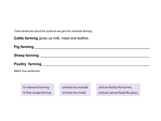 Think sentences about the products we get from livestock farming:
Cattle farming gives us milk, meat and leather.
Pig farming __________________________________________________________
Sheep farming _______________________________________________________
Poultry farming ______________________________________________________
Match true sentences
 