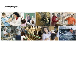 Identify the jobs:
 