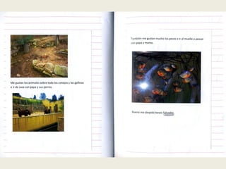 actividades Salvador