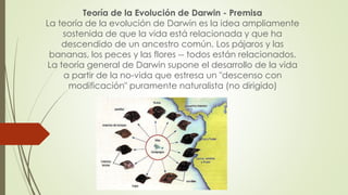 Teoría de la Evolución de Darwin - Premisa
La teoría de la evolución de Darwin es la idea ampliamente
sostenida de que la vida está relacionada y que ha
descendido de un ancestro común. Los pájaros y las
bananas, los peces y las flores -- todos están relacionados.
La teoría general de Darwin supone el desarrollo de la vida
a partir de la no-vida que estresa un "descenso con
modificación" puramente naturalista (no dirigido)
 