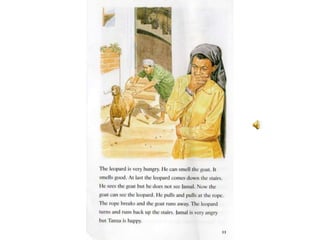 The leopard and the lighthouse