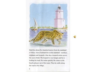 The leopard and the lighthouse