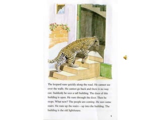 The leopard and the lighthouse