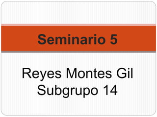 Seminario 5
Reyes Montes Gil
Subgrupo 14
 