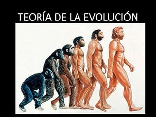 TEORÍA DE LA EVOLUCIÓN
 