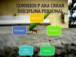 Motivación.
Propósito.
Fuerza.
Auto
control.
Estrategia.
 