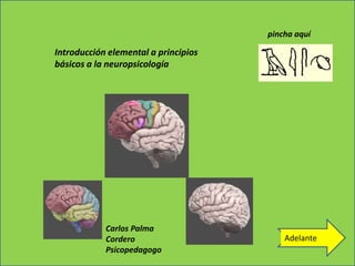 Introducción elemental a principios
básicos a la neuropsicología
Adelante
pincha aquí
Carlos Palma
Cordero
Psicopedagogo
 
