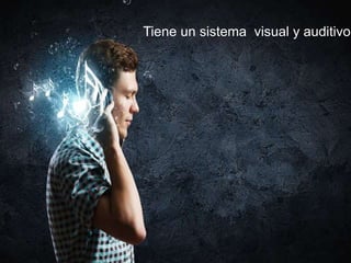 Tiene un sistema visual y auditivo