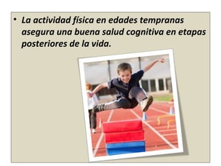 • La actividad física en edades tempranas
asegura una buena salud cognitiva en etapas
posteriores de la vida.
 
