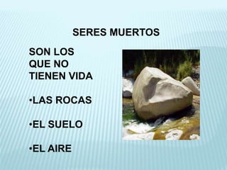SERES MUERTOS
SON LOS
QUE NO
TIENEN VIDA
•LAS ROCAS
•EL SUELO
•EL AIRE
 