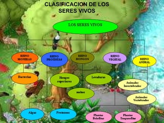 CLASIFICACION DE LOS
SERES VIVOS
 