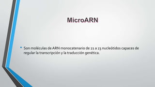 • Son moléculas de ARN monocatenario de 21 a 23 nucleótidos capaces de
regular la transcripción y la traducción genética.
 