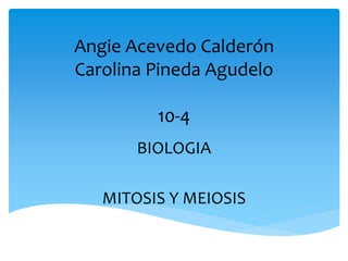 Angie Acevedo Calderón
Carolina Pineda Agudelo
10-4
BIOLOGIA
MITOSIS Y MEIOSIS
 