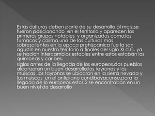 Estas culturas deben parte de su desarrollo al maiz,se
fueron posicionando en el territorio y aparecen los
primeros grupos notables y organizados como:los
tumacos y calima,uno de las culturas mas
sobresalientes en la epoca prehispanica fue la san
agustin,en nuestro territorio a finales del siglo XI d.C. ya
se hacian intercambios estables entre estos estaban los
quimbeas y caribes.
siglos antes de la llegada de los europeos,dos pueblos
alcanzaron un buen desarrollo:los tayronas y los
muiscas ,los tayronas se ubicaron en la sierra nevada y
los muiscas en el antiplano cundiboyacense.para la
llegada de lo europeos estos 2 se encontraban en un
buen nivel de desarrollo
 